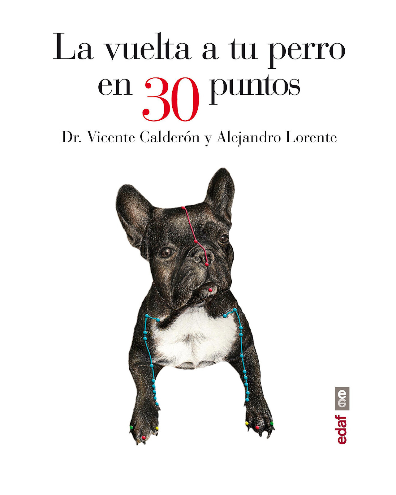 Foto 2 pulgar | Libro ''la Vuelta A Tu Perro En 30 Puntos''