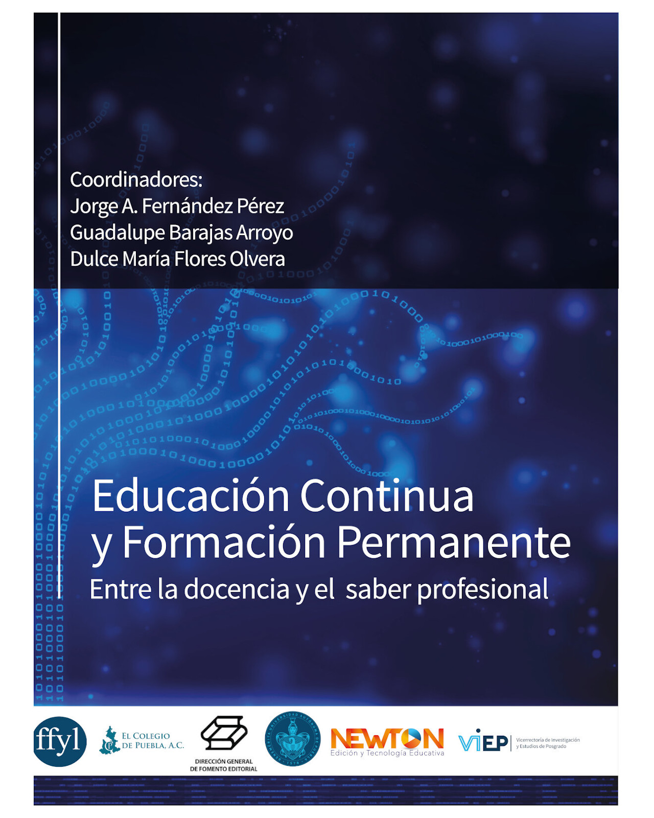 Foto 2 pulgar | Libro ''educación Continua Y Formación Permanente. Entre La Docencia Y El Saber Profesional.''