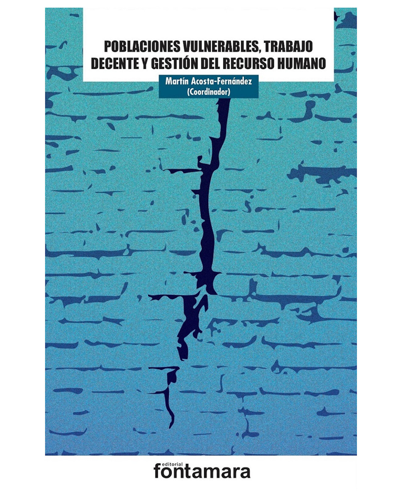 Libro ''poblaciones Vulnerables, Trabajo Decente Y Gestión Del Recurso Humano''