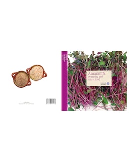 Foto 1 | Libro ''amaranth: Everyday And Ritual Food''