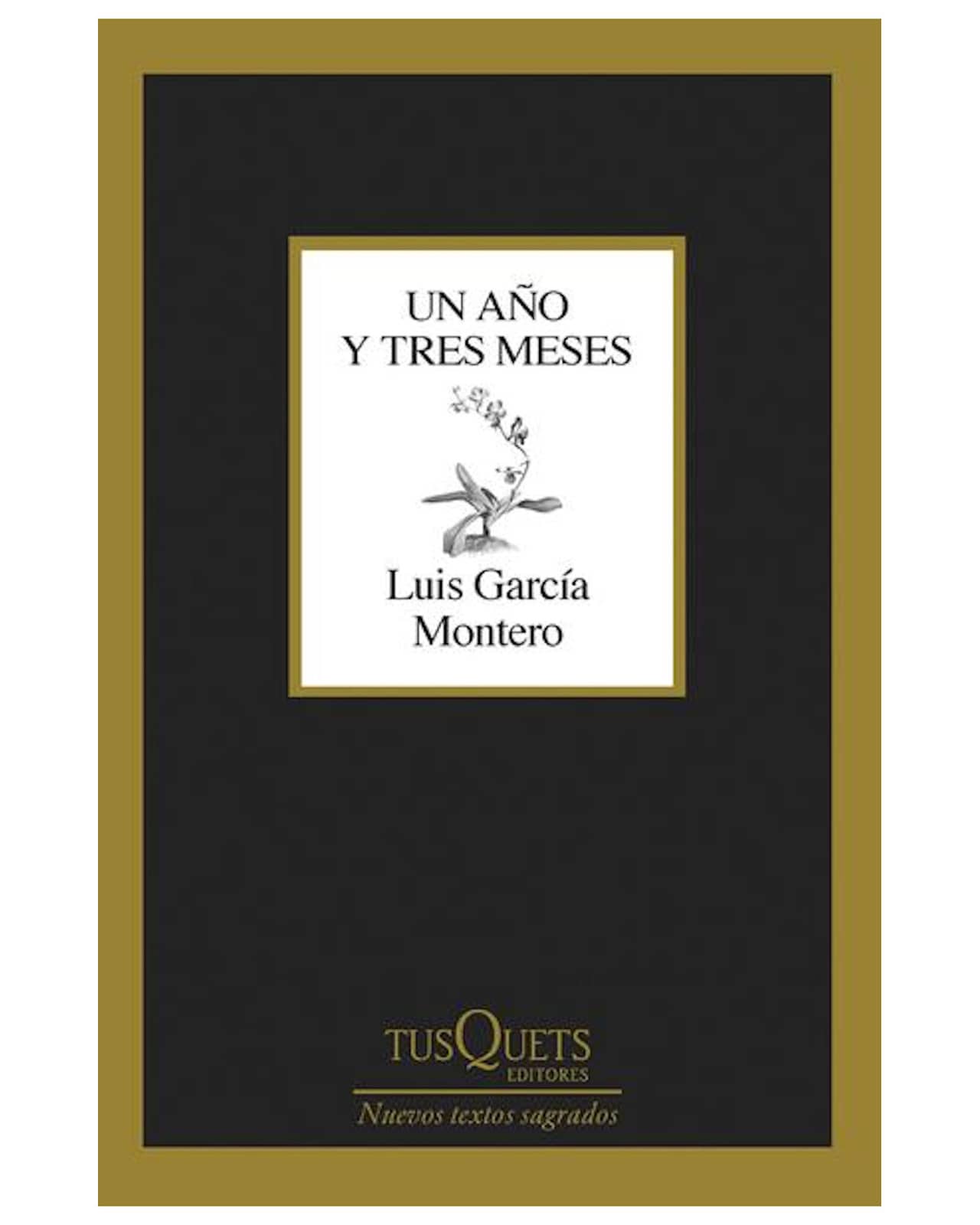 Libro ''un Año Y Tres Meses'' $348