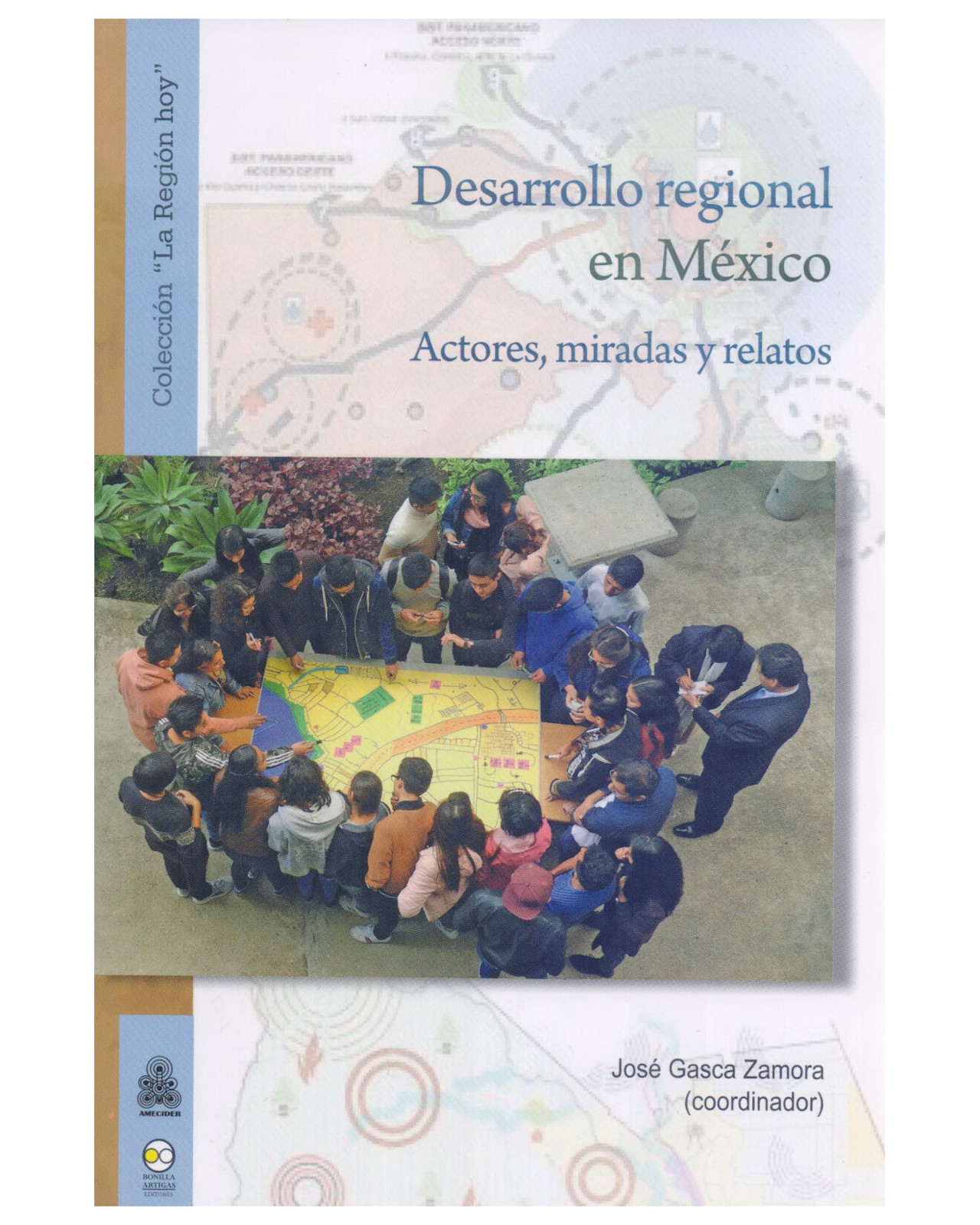 Foto 1 | Libro ''desarrollo Regional En México. Actores, Miradas Y Relatos''