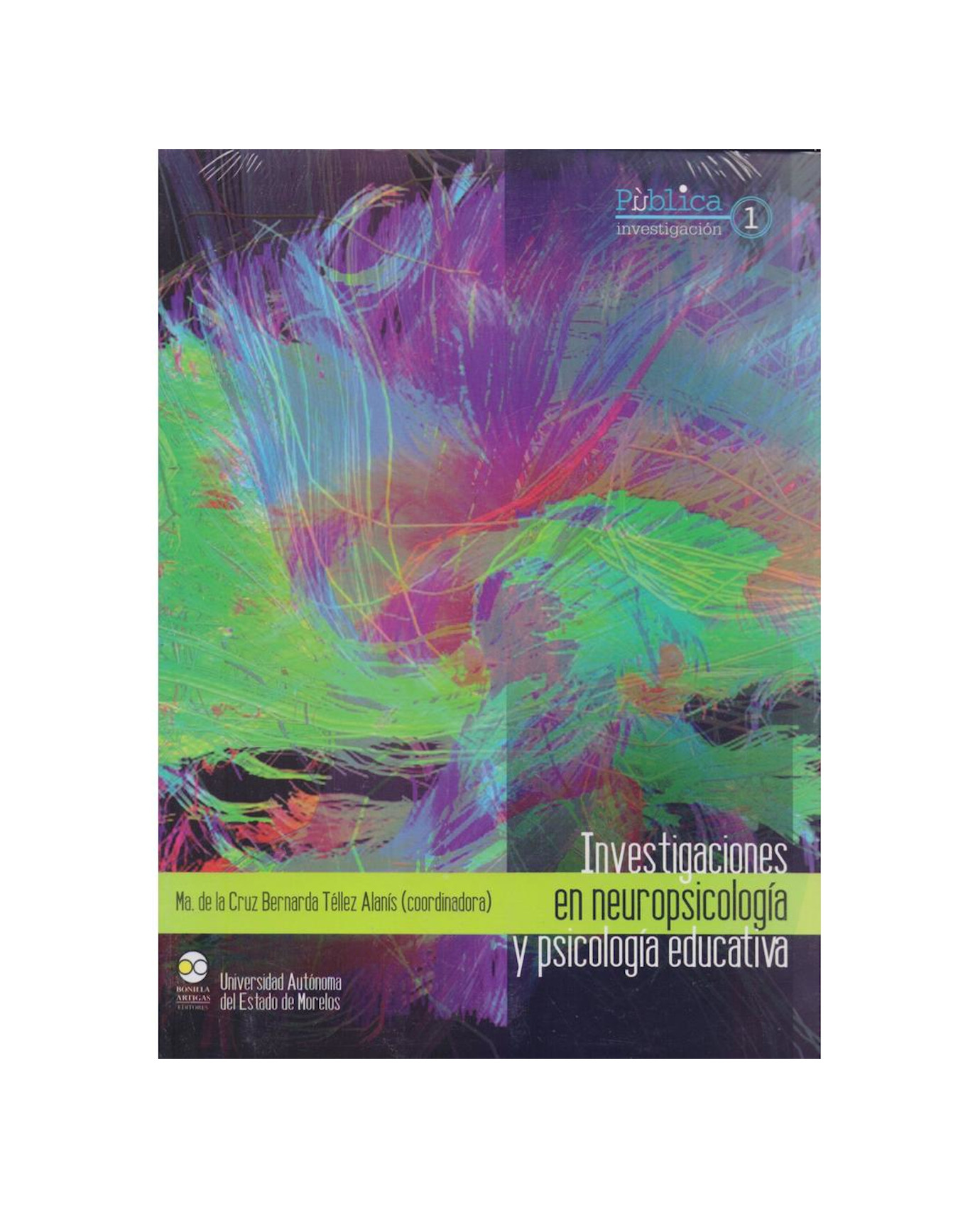 Libro Investigaciones En Neuropsicología y Psicología Educativa