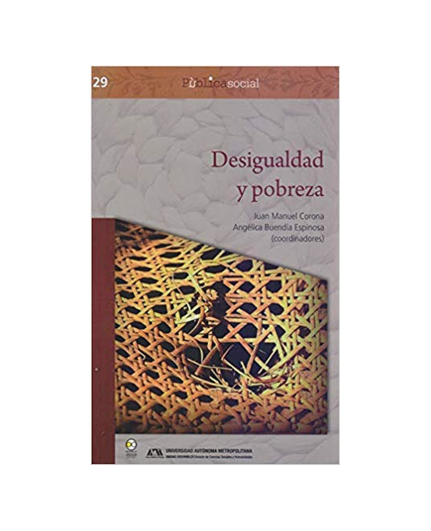 Libro Desigualdad Y Pobreza