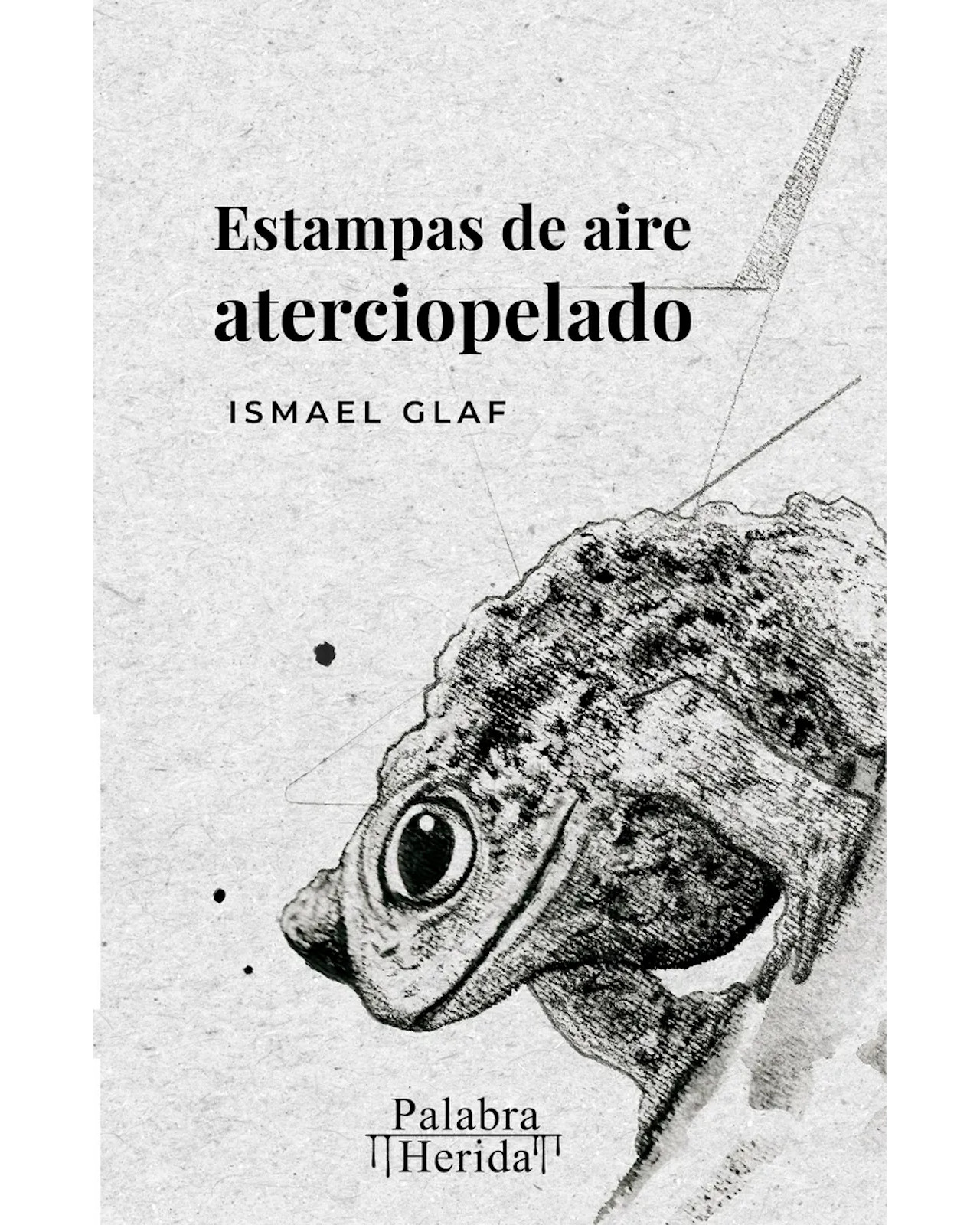 Foto 2 pulgar | Libro Estampas De Aire Aterciopelado Autor Ismael Glaf