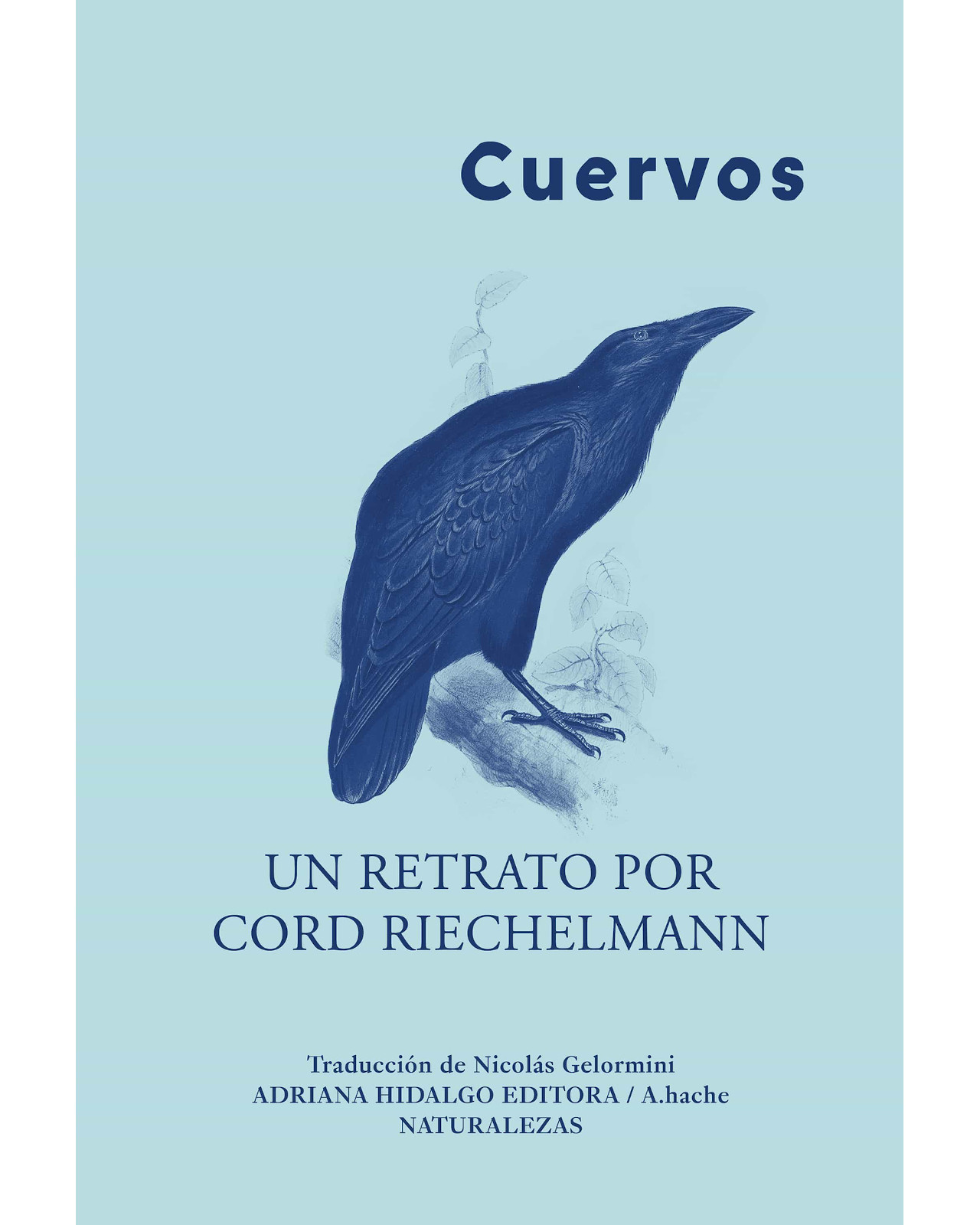 Libro Cuervos Editorial Adriana Hidalgo Editora Autor Riechelmann Cord