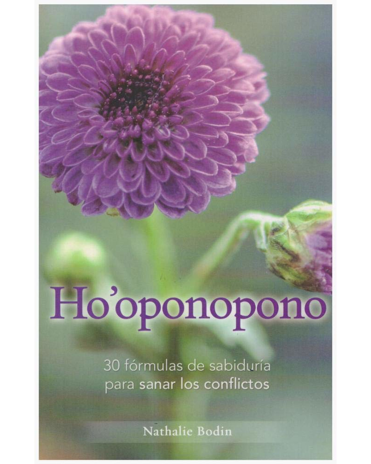 Libro Ho'ponopono. 30 Fórmulas De Sabiduría Editorial Grupo Editorial Tomo Autor Nathalie Boodin