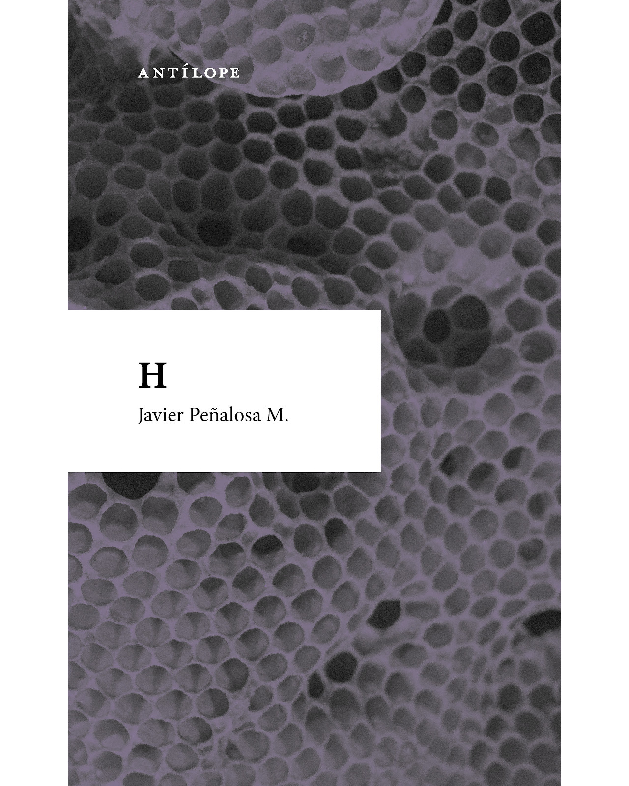 Foto 1 | Libro H Editorial Antílope Autor Javier Peñaloza M.
