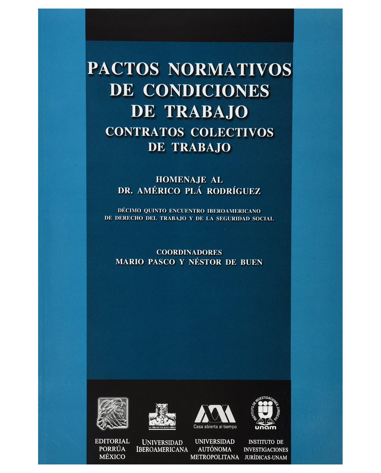 Libro Pactos Normativos De Condiciones De Trabajo- Editorial Porrúa - Pasco, Mario