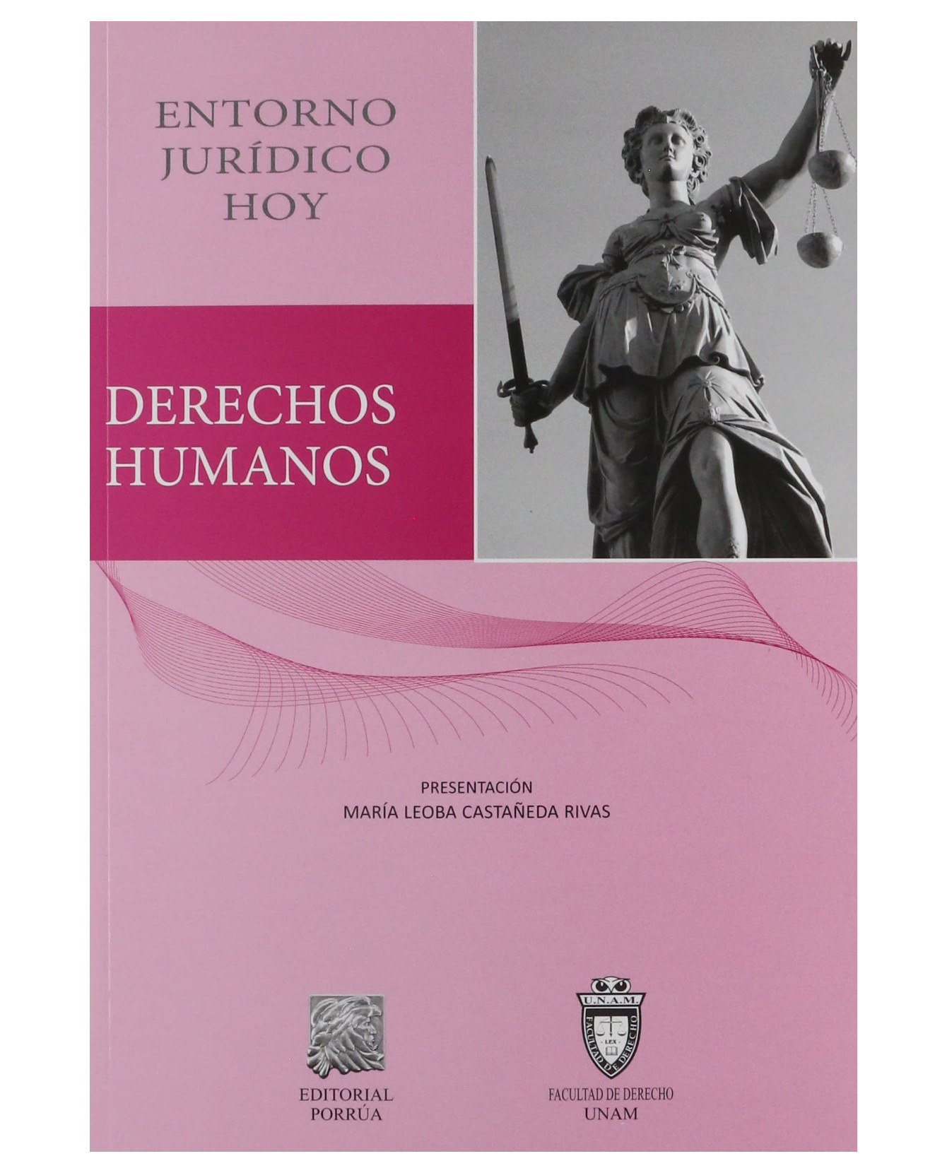 Foto 2 pulgar | Libro Derechos Humanos Entorno Jurídico Hoy- Editorial Porrúa - Castañeda Rivas, María Leoba