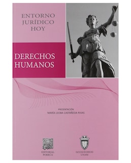 Foto 1 | Libro Derechos Humanos Entorno Jurídico Hoy- Editorial Porrúa - Castañeda Rivas, María Leoba