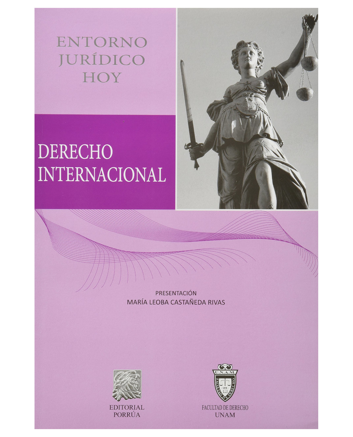 Libro Derecho Internacional Entorno Jurídico- Editorial Porrúa - Castañeda Rivas, María Leoba
