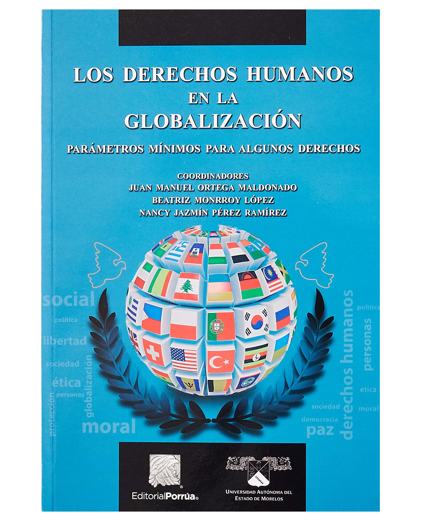 Libro Los Derechos Humanos En La Globalización- Editorial Porrúa - Ortega Maldonado, Juan Manuel