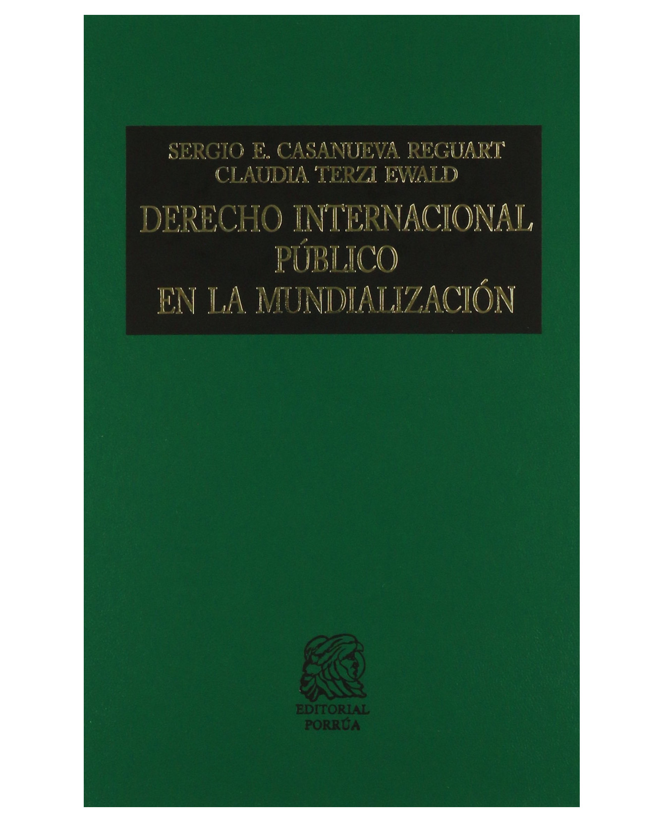 Libro Derecho Internacional Público En La Mundialización- Editorial Porrúa - Casanueva Reguart, Sergio E.,terzi