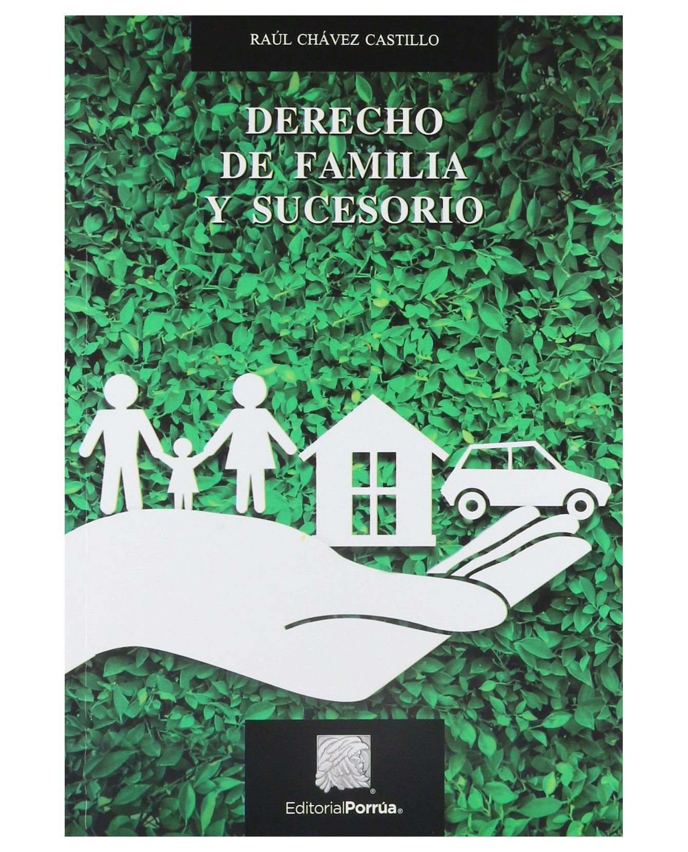 Libro Derecho De Familia Y Sucesorio Editorial Porrúa Raúl Chávez Castillo