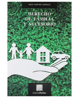 Foto 1 | Libro Derecho De Familia Y Sucesorio Editorial Porrúa Raúl Chávez Castillo