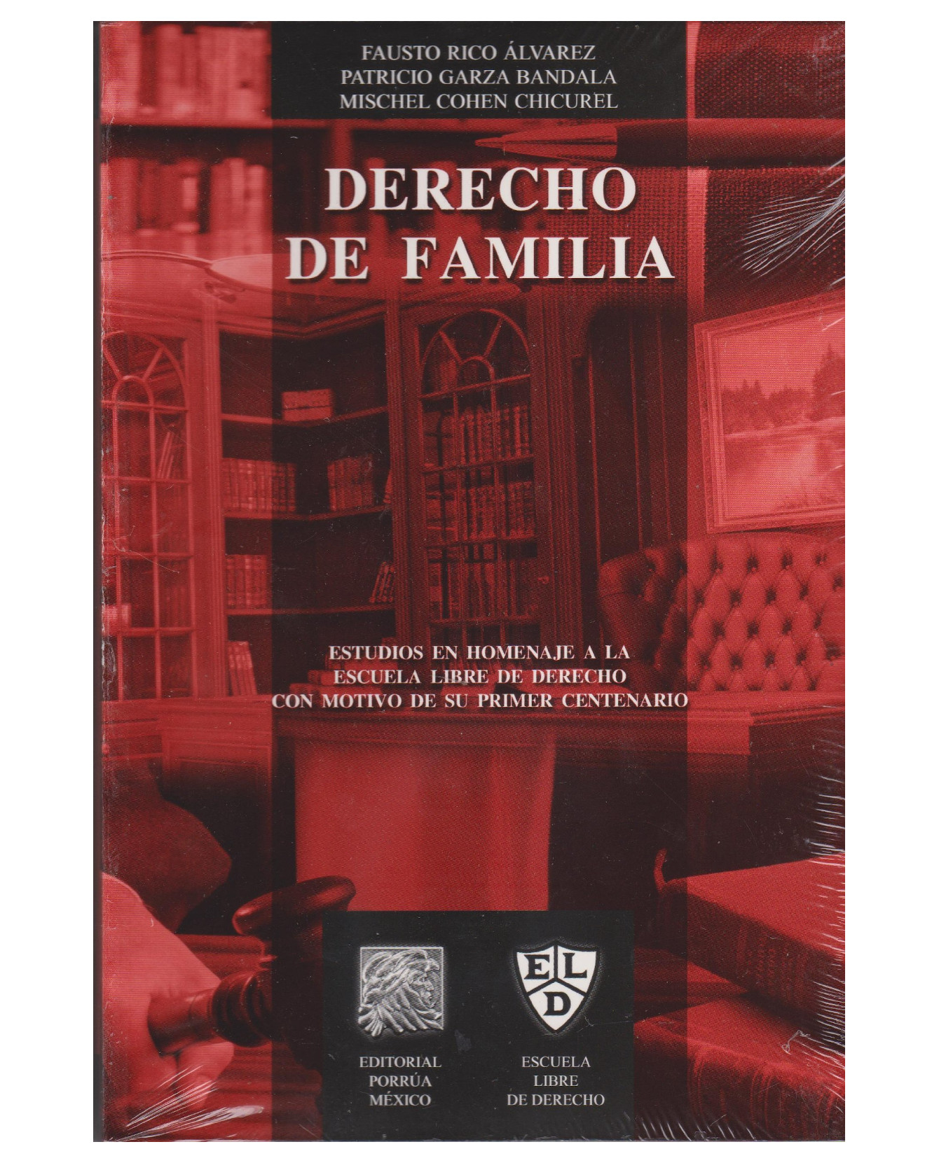 Foto 1 | Libro Derecho De Familia- Editorial Porrúa - Rico Álvarez, Fausto