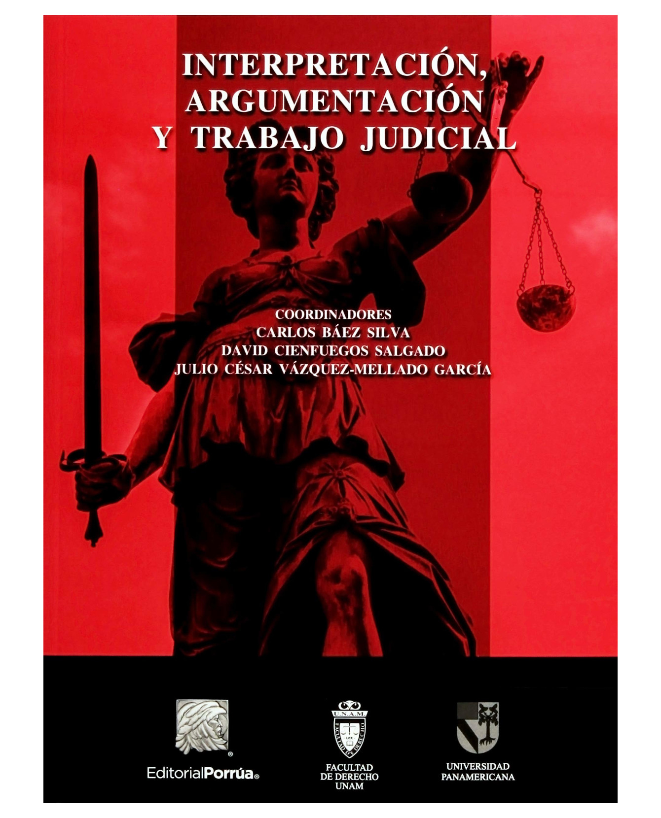 Libro Interpretación, Argumentación Y Trabajo Judicial- Editorial Porrúa - Báez Silva, Carlos, Cienfuegos Salgado
