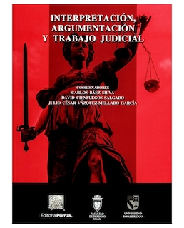Foto 1 | Libro Interpretación, Argumentación Y Trabajo Judicial- Editorial Porrúa - Báez Silva, Carlos, Cienfuegos Salgado