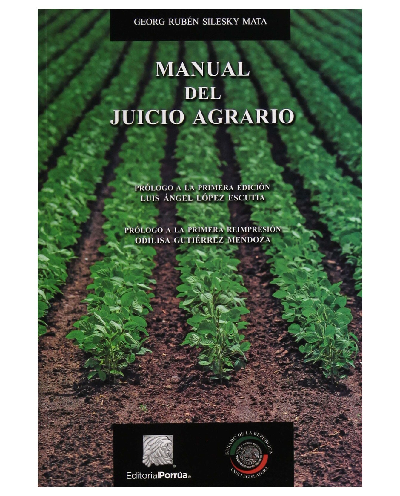 Libro Manual Del Juicio Agrario- Editorial Porrúa - Silesky Mata, Georg Rubén $460