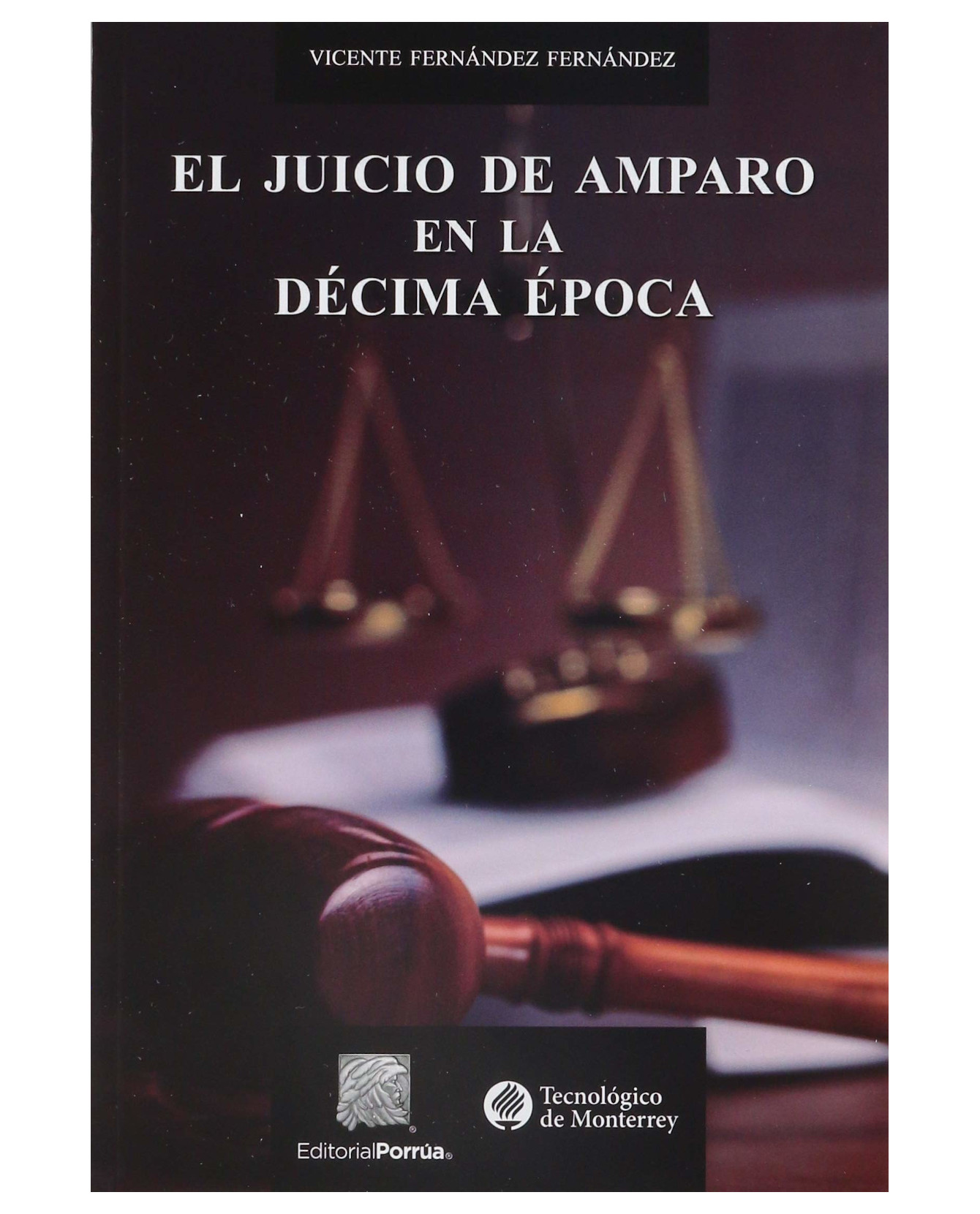 Libro El Juicio De Amparo En La Décima Época- Editorial Porrúa - Fernández Fernández, Vicente