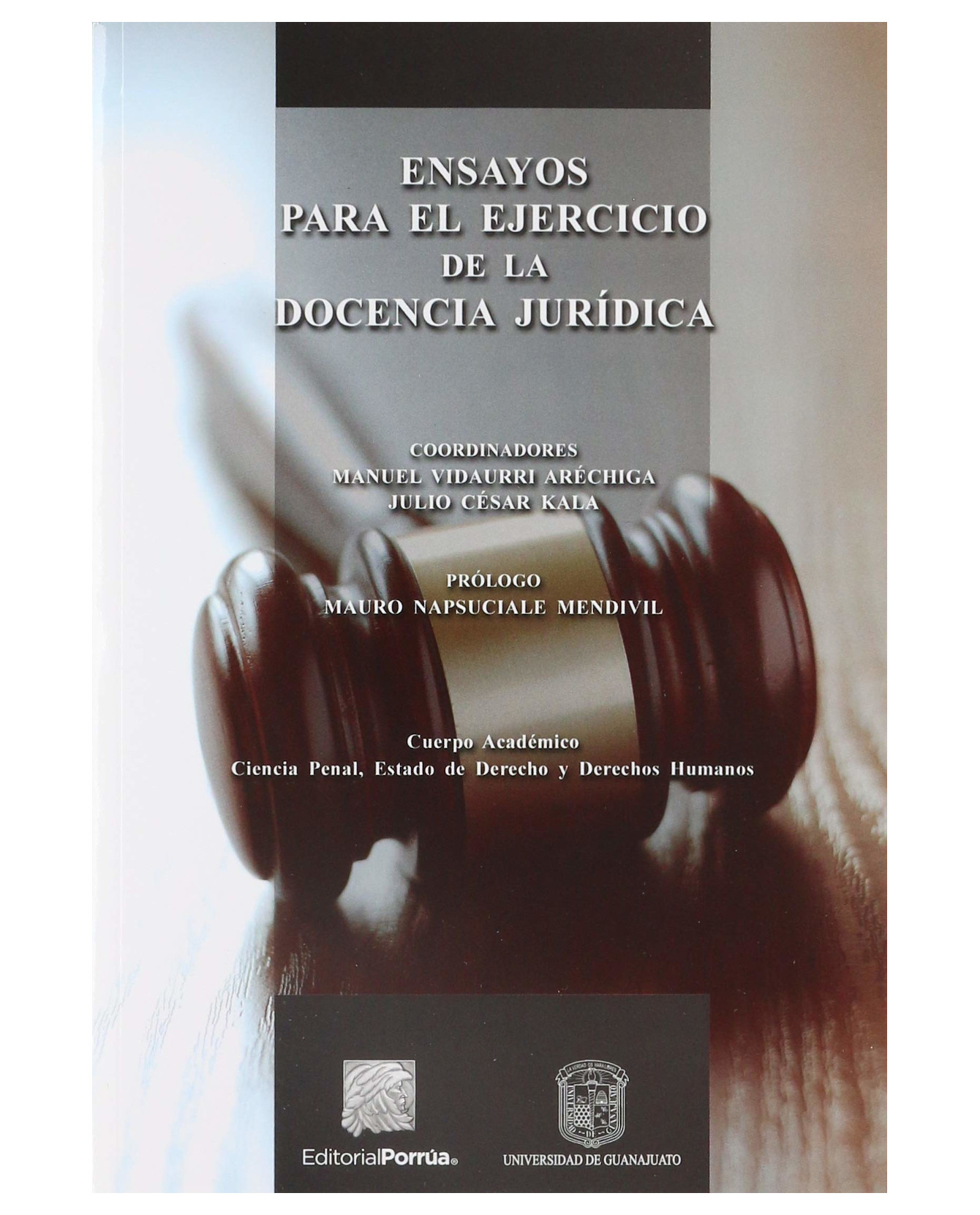 Foto 2 pulgar | Libro Ensayos Para El Ejercicio De La Docencia Jurídica- Editorial Porrúa - Vidaurri Aréchiga, Manuel