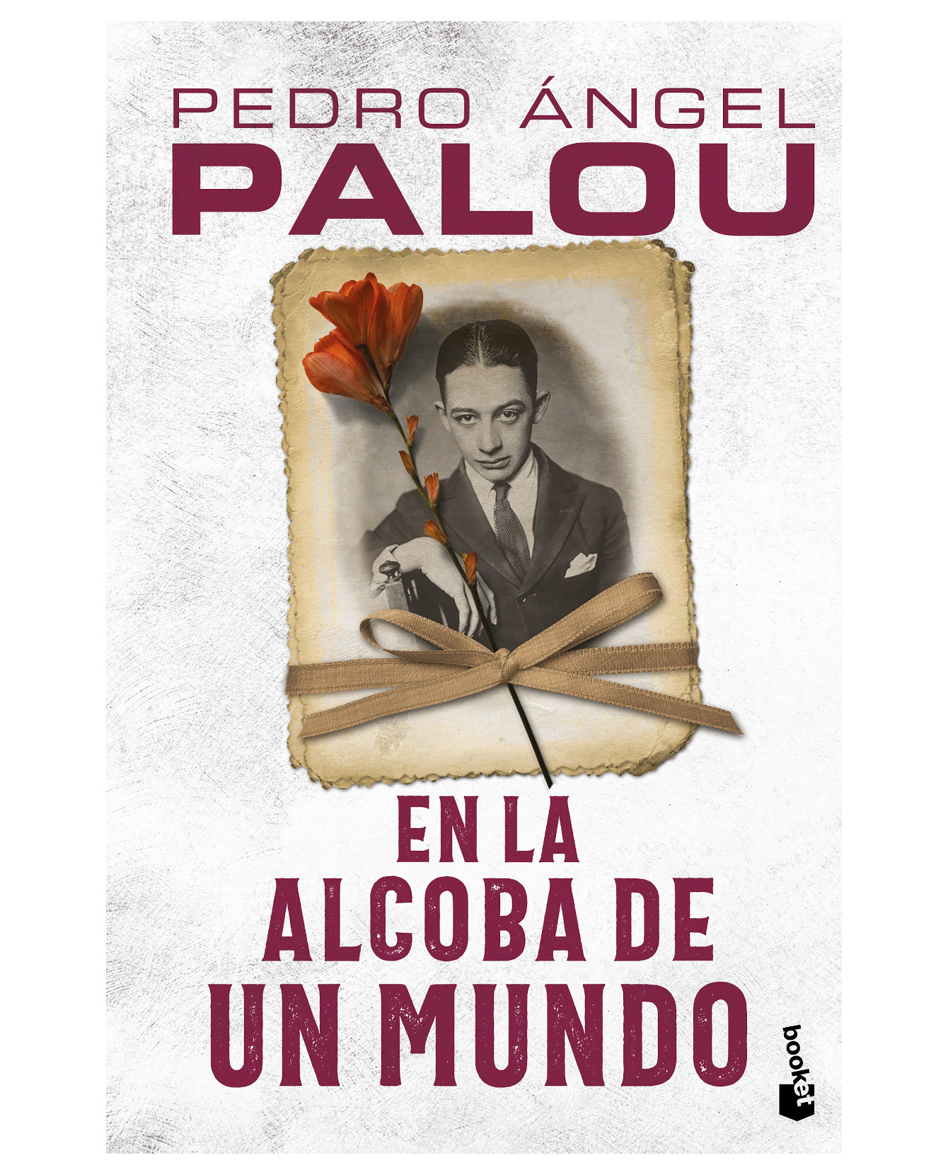 Foto 2 pulgar | Libro En La Alcoba De Un Mundo- Booket - Palou, Pedro Ángel