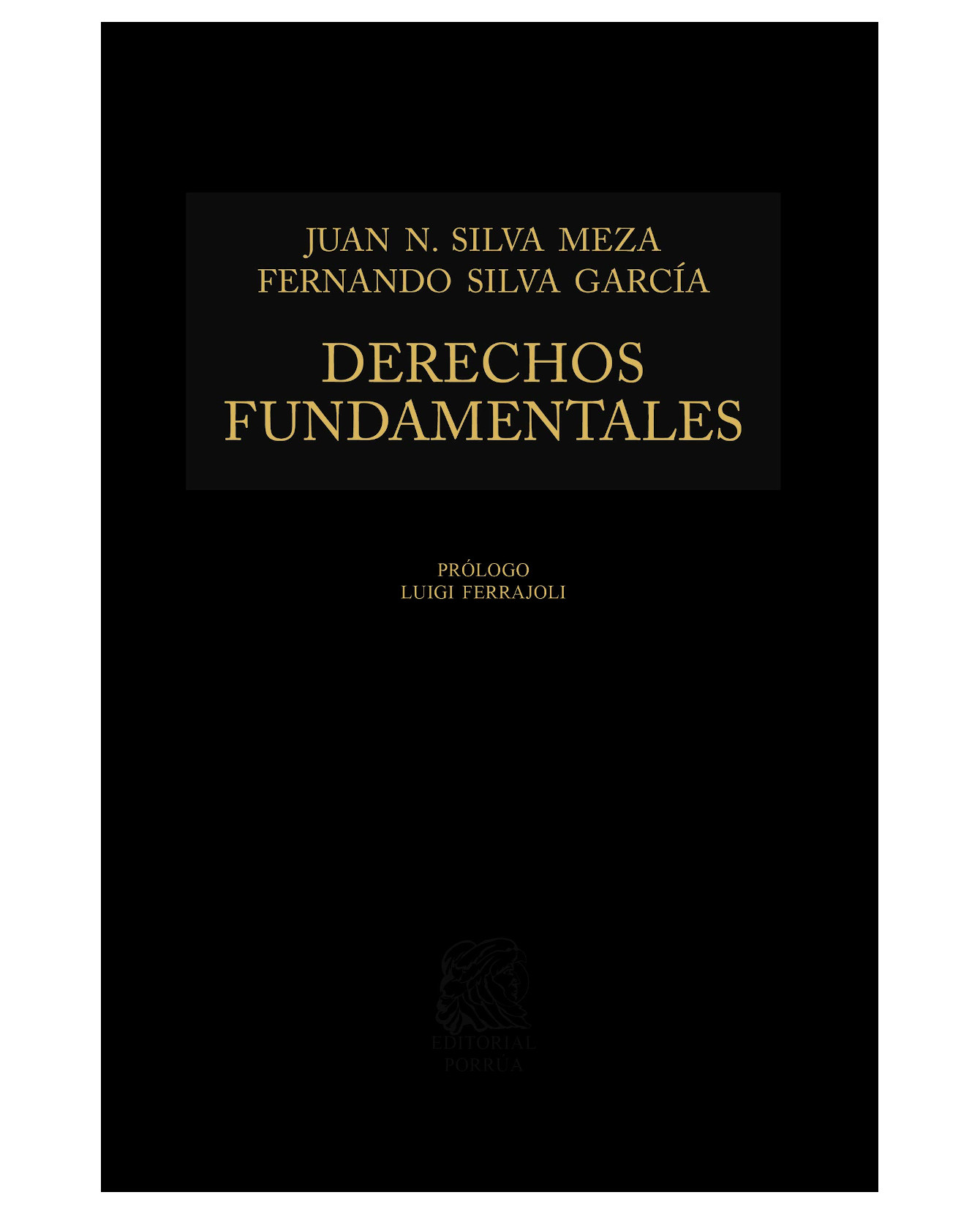 Libro Derechos Fundamentales- Editorial Porrúa - Silva Meza, Juan Nepomuceno