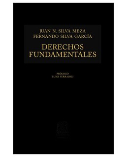 Foto 1 | Libro Derechos Fundamentales- Editorial Porrúa - Silva Meza, Juan Nepomuceno