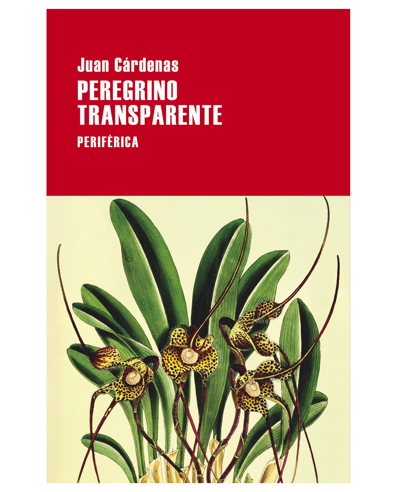 Foto 1 | Libro Peregrino Transparente- Periférica - Cárdenas, Juan