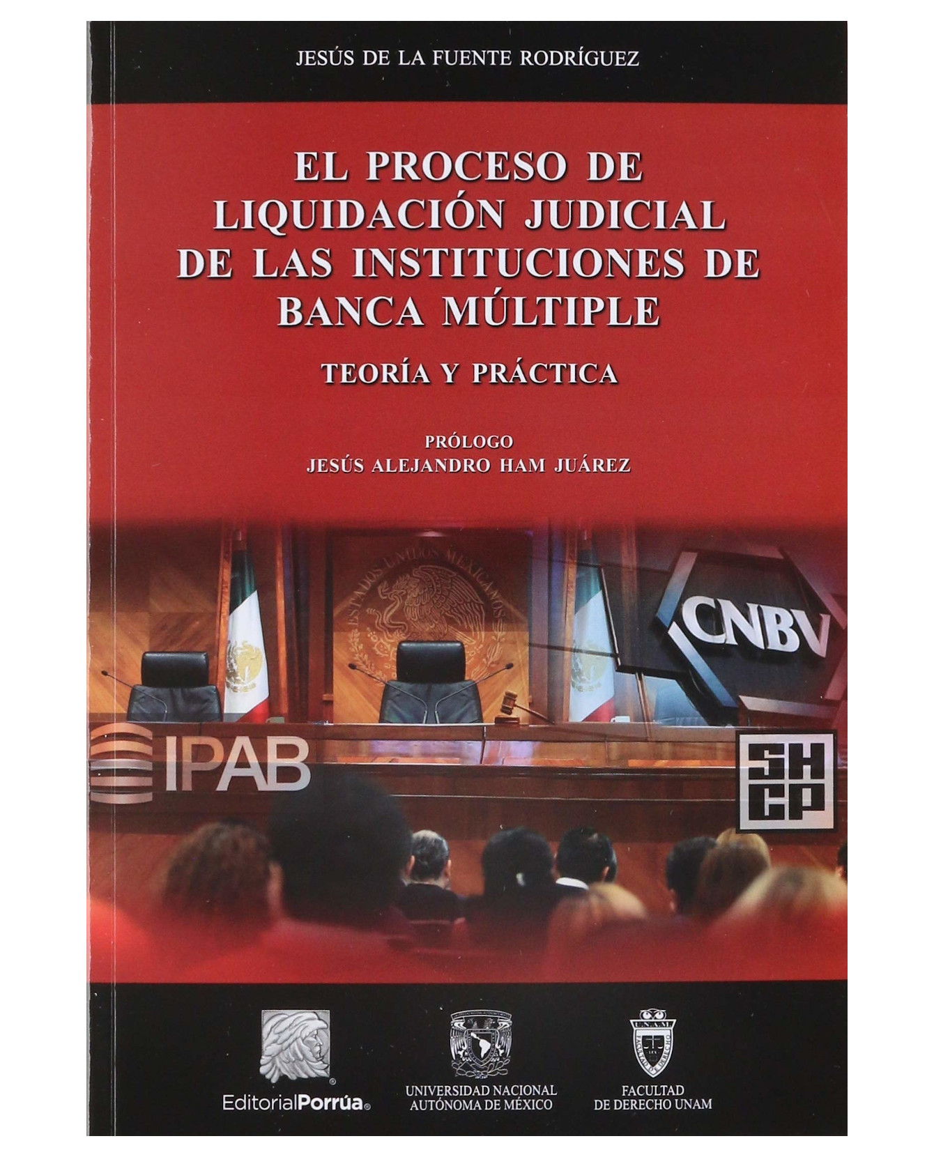 Libro El Proceso De Liquidación Judicial De Las Instituciones De Banca Múltiple- Editorial Porrúa - Fuente Rodríguez