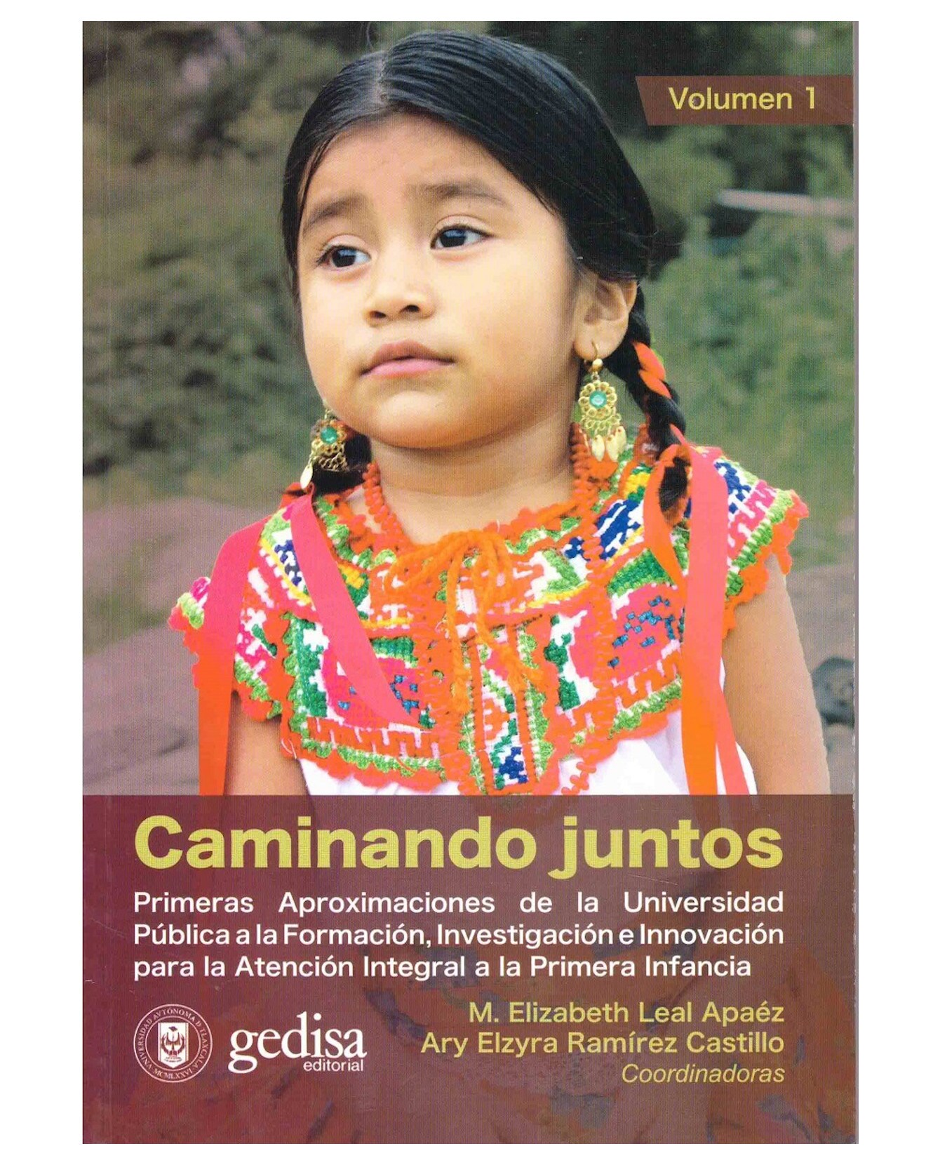 Libro Caminando Juntos Primeras Aproximaciones De La Universidad Pública A La Formación- Gedisa - Leal Apaez Elizabeth $425