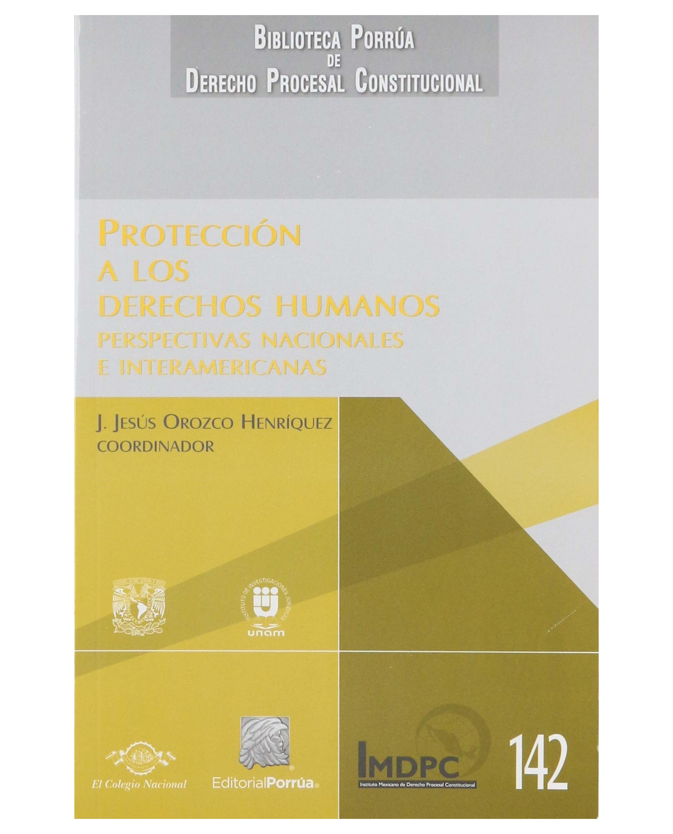 Libro Protección A Los Derechos Humanos- Editorial Porrúa - Orozco Henríquez, José De Jesús