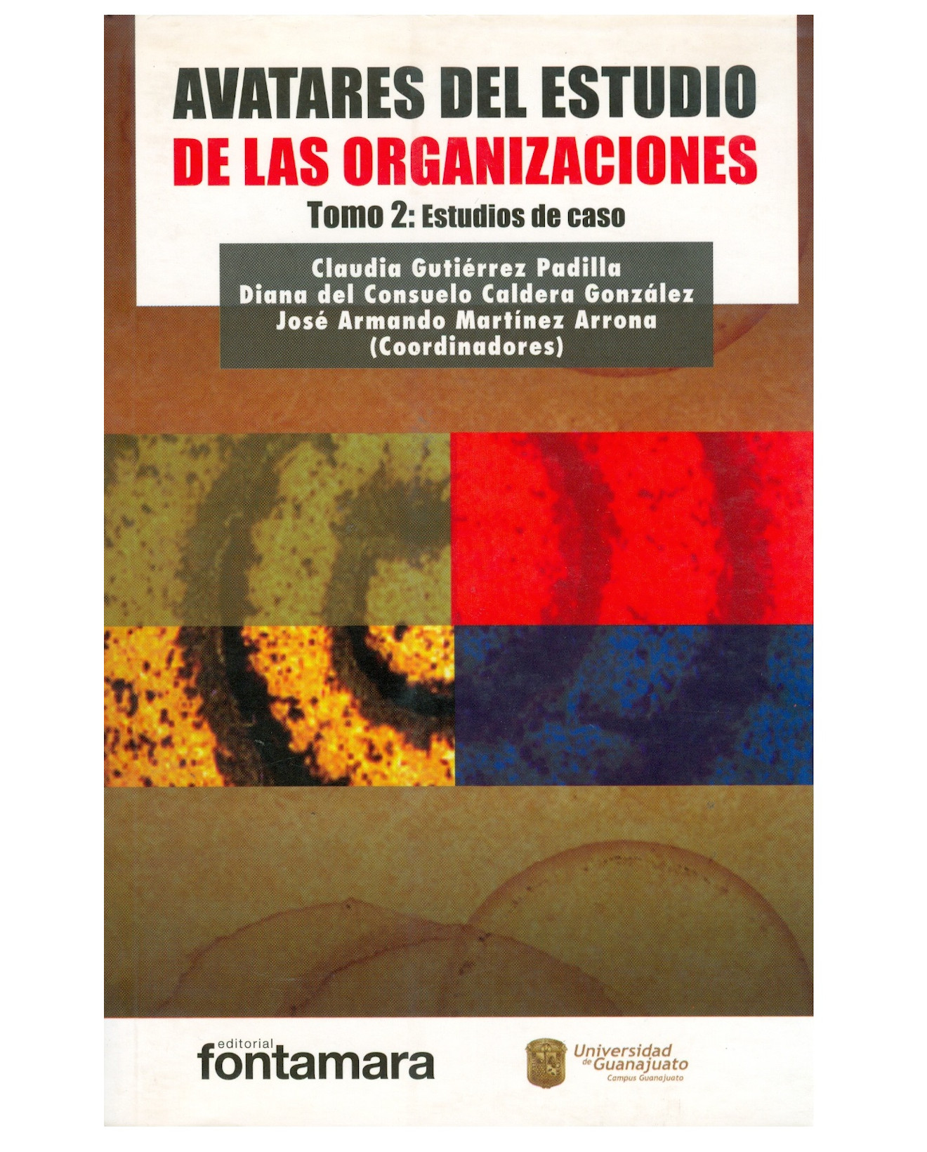 Libro Avatares Del Estudio De Las Organizaciones Tomo Ii - Fontamara - Claudia Gutierrez Padilla