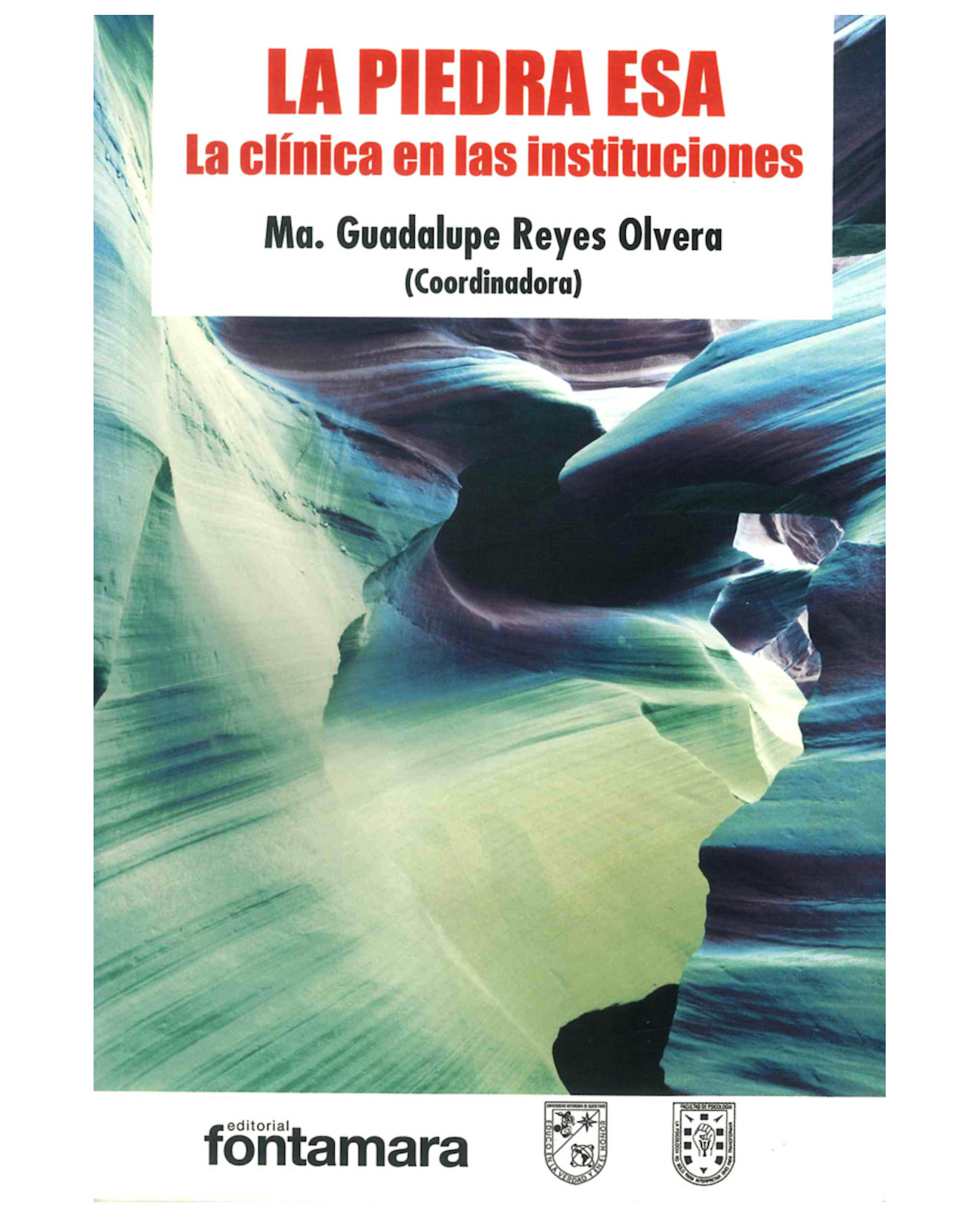 Foto 2 pulgar | Libro La Piedra Esa. La Clínica En Las Instituciones - Fontamara - Ma. Guadalupe Reyes Olvera (coordinadora)