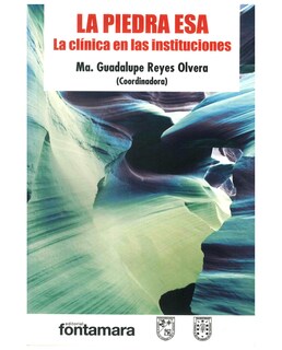 Foto 1 | Libro La Piedra Esa. La Clínica En Las Instituciones - Fontamara - Ma. Guadalupe Reyes Olvera (coordinadora)