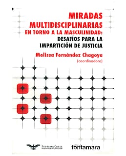 Foto 1 | Libro Miradas Multidisciplinarias En Torno A La Masculinidad - Fontamara - Melissa Fernández Chagoya (coord.)