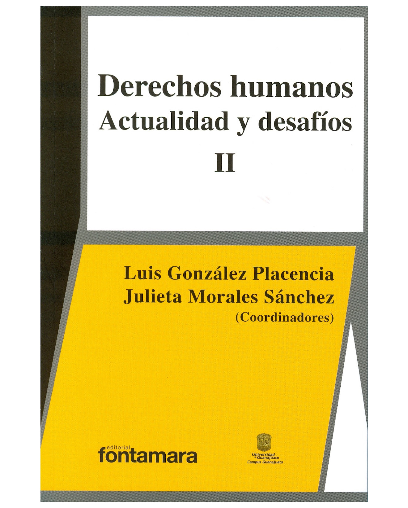 Foto 2 pulgar | Libro Derechos Humanos Actualidad Y Desafíos Ii - Fontamara - Luis González Placencia