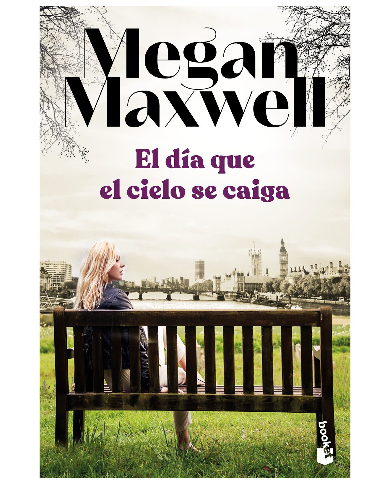 Libro El Día Que El Cielo Se Caiga - Booket - Maxwell, Megan $448