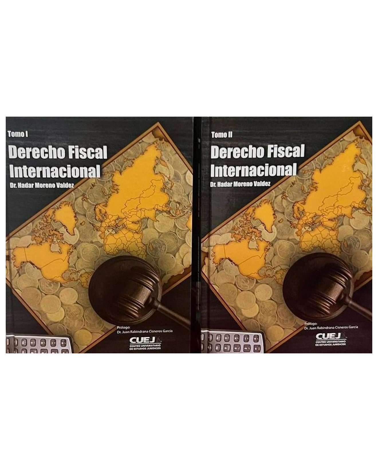 Libro Derecho Fiscal Internacional (obra Completa) - Cuej - Moreno Valdez, Hadar