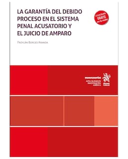 Foto 1 | Libro La Garantía Del Debido Proceso En El Sistema Penal Acusatorio - Tirant Lo Blanch - Froylán Borges Aranda