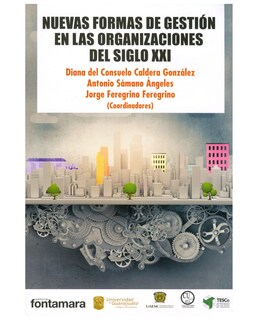 Foto 1 | Libro Nuevas Formas De Gestión En Las Organizaciones Del Siglo Xxi - Fontamara - Diana Del Consuelo Caldera González