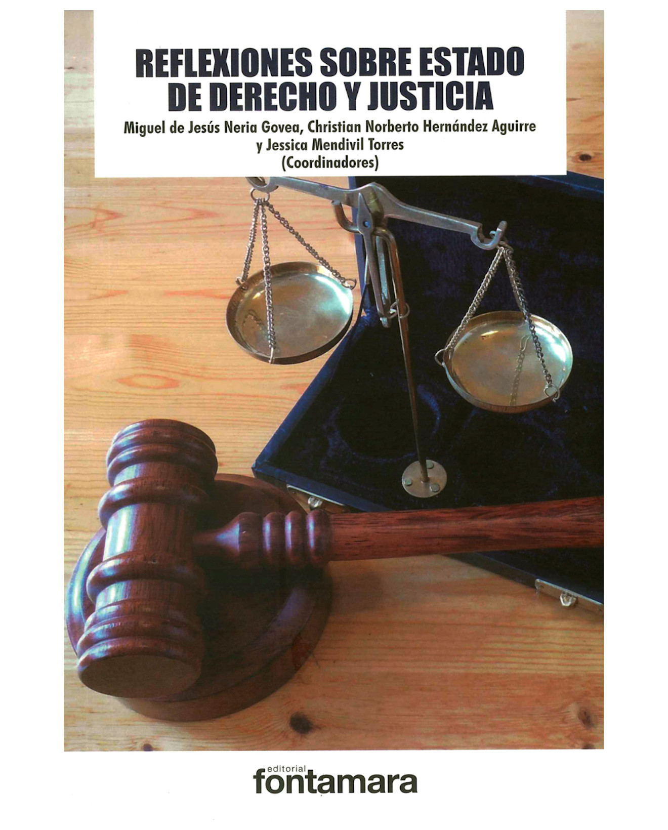 Foto 2 pulgar | Libro Reflexiones Sobre Estado De Derecho Y Justicia - Fontamara - Miguel De Jesús Neria Govea