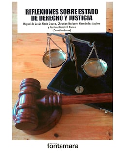 Foto 1 | Libro Reflexiones Sobre Estado De Derecho Y Justicia - Fontamara - Miguel De Jesús Neria Govea