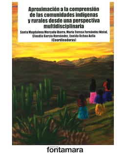 Foto 1 | Libro Aproximación A La Comprensión De Las Comunidades Indígenas - Fontamara - Santa Magdalena Mercado Ibarra