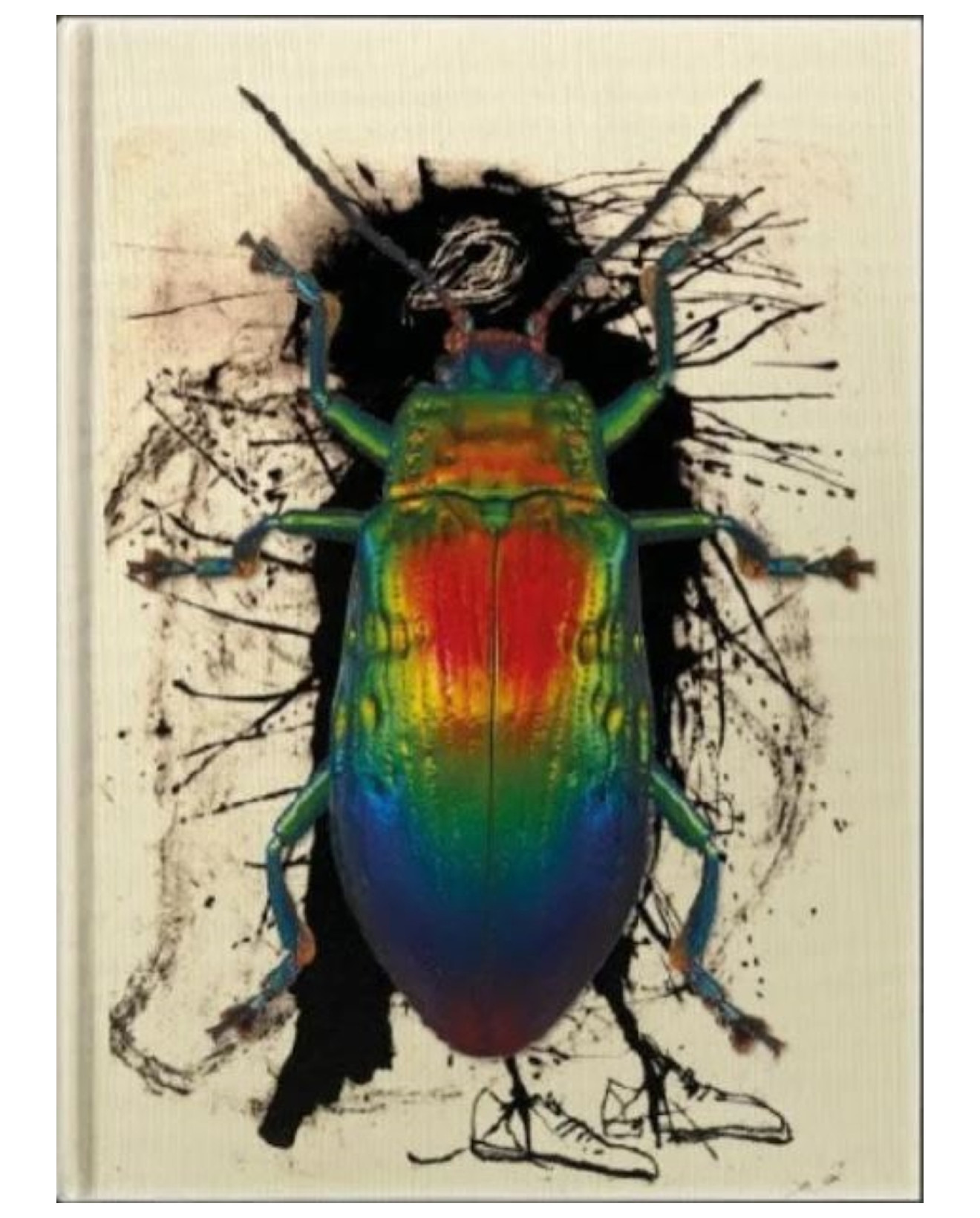 Foto 1 | Libro Karrunde - Cooperativa La Joplin - Carla Zarebska