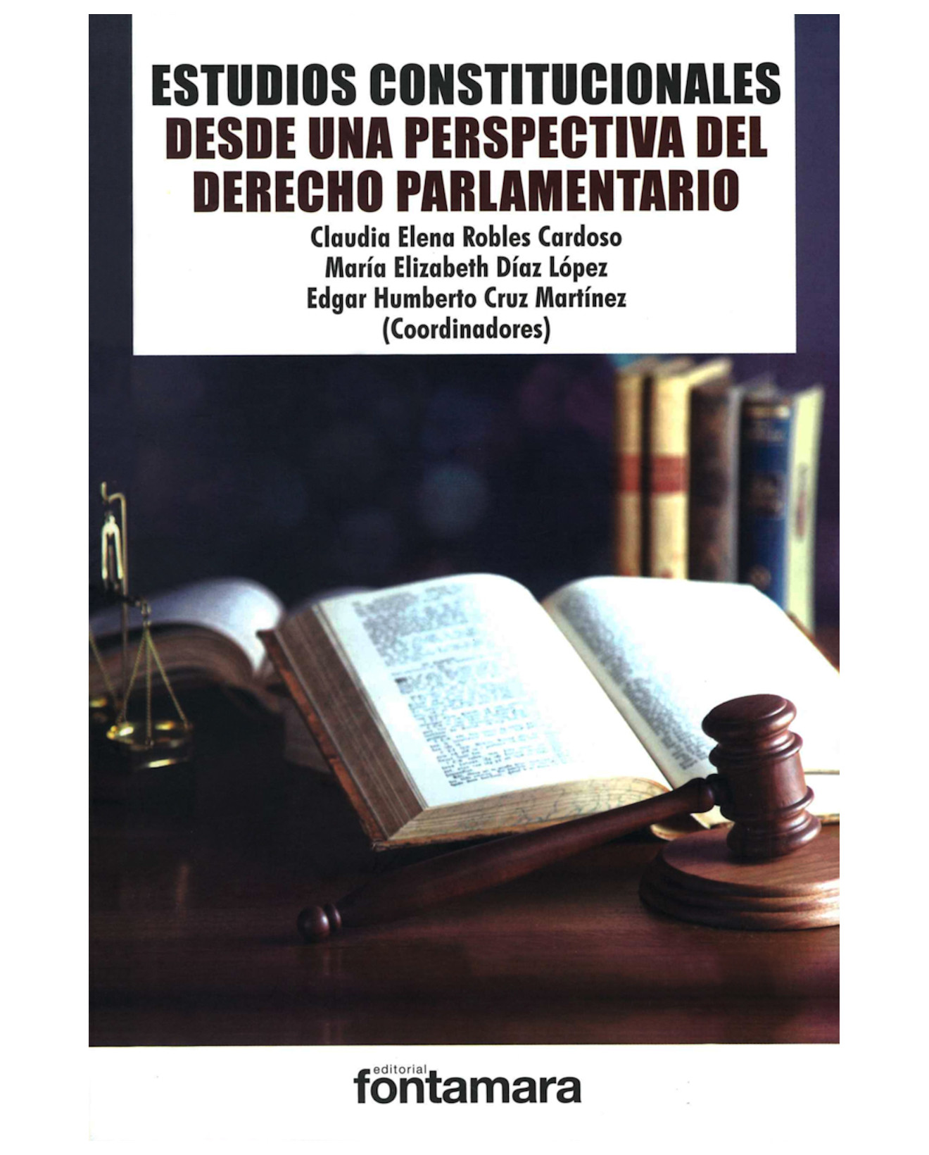 Foto 2 pulgar | Libro Estudios Constitucionales Desde Una Perspectiva Del Derecho - Fontamara - Claudia Elena Robles Cardoso