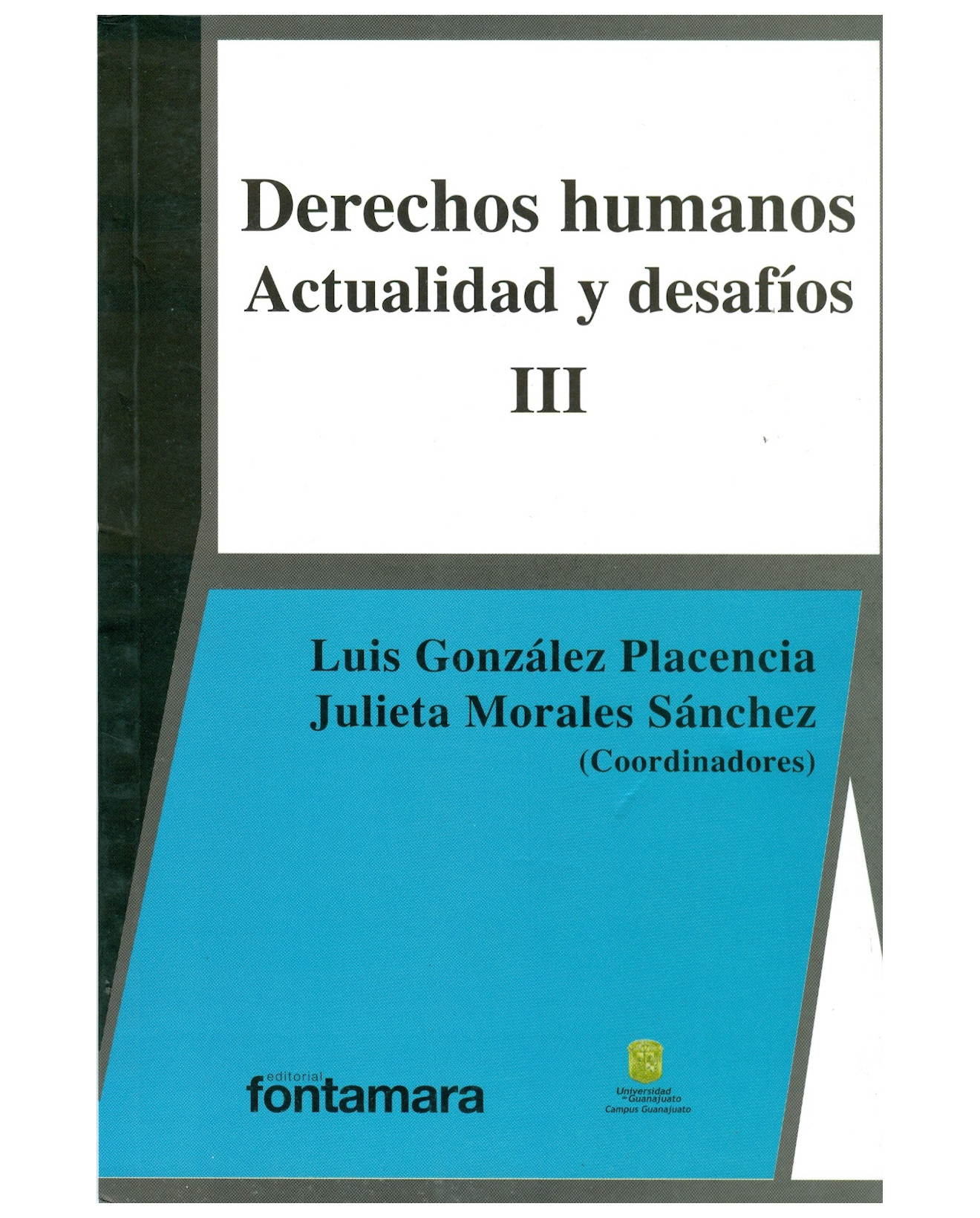 Foto 2 pulgar | Libro Derechos Humanos Actualidad Y Desafíos Iii - Fontamara - Luis González Placencia