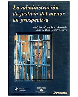 Foto 1 | Libro La Administración De Justicia Del Menor En Prospectiva - Fontamara - Ladislao Adrián Reyes Barragán