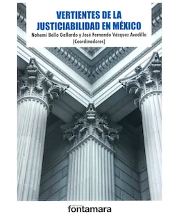 Foto 1 | Libro Vertientes De La Justiciabilidad En México - Fontamara - Noemí Bello Gallardo